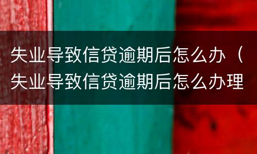 失业导致信贷逾期后怎么办（失业导致信贷逾期后怎么办理）