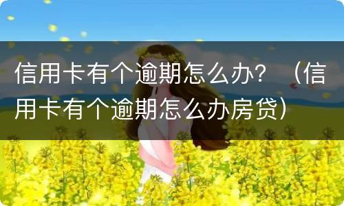 信用卡有个逾期怎么办？（信用卡有个逾期怎么办房贷）