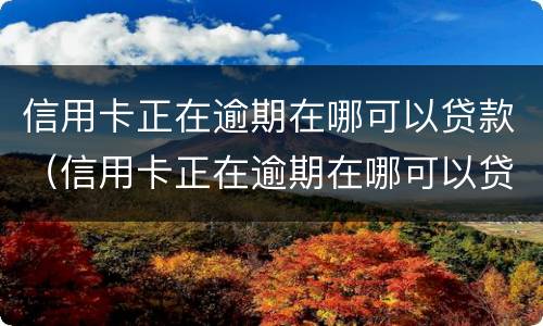 信用卡正在逾期在哪可以贷款（信用卡正在逾期在哪可以贷款呢）