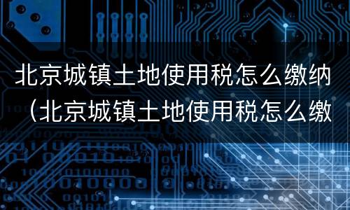 北京城镇土地使用税怎么缴纳（北京城镇土地使用税怎么缴纳流程）