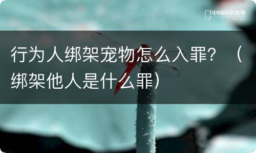 行为人绑架宠物怎么入罪？（绑架他人是什么罪）