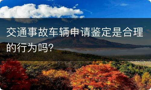 交通事故车辆申请鉴定是合理的行为吗？