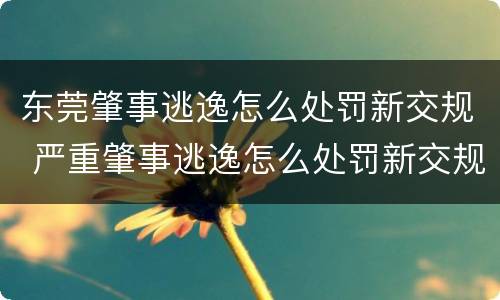 东莞肇事逃逸怎么处罚新交规 严重肇事逃逸怎么处罚新交规