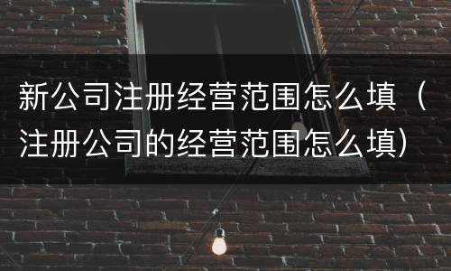 新公司注册经营范围怎么填（注册公司的经营范围怎么填）