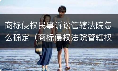 商标侵权民事诉讼管辖法院怎么确定（商标侵权法院管辖权）