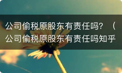 公司偷税原股东有责任吗？（公司偷税原股东有责任吗知乎）