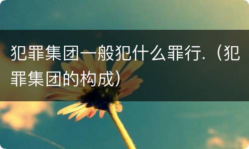 犯罪集团一般犯什么罪行.（犯罪集团的构成）