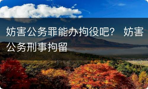 妨害公务罪能办拘役吧？ 妨害公务刑事拘留
