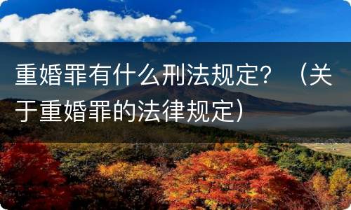重婚罪有什么刑法规定？（关于重婚罪的法律规定）