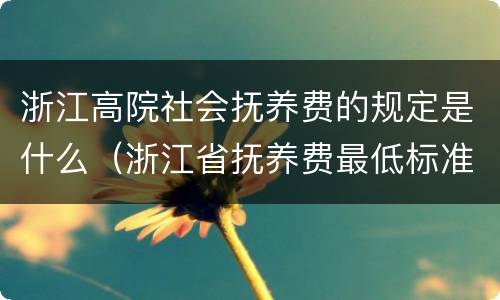 浙江高院社会抚养费的规定是什么（浙江省抚养费最低标准）
