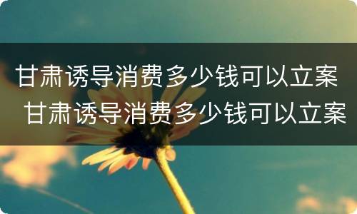 甘肃诱导消费多少钱可以立案 甘肃诱导消费多少钱可以立案侦查