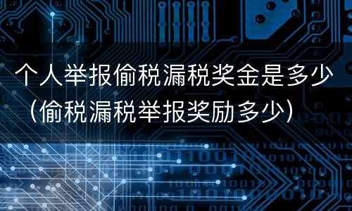 个人举报偷税漏税奖金是多少（偷税漏税举报奖励多少）