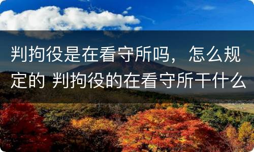 判拘役是在看守所吗，怎么规定的 判拘役的在看守所干什么