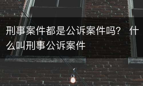 刑事案件都是公诉案件吗？ 什么叫刑事公诉案件