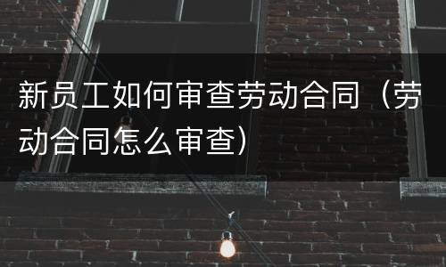 新员工如何审查劳动合同（劳动合同怎么审查）