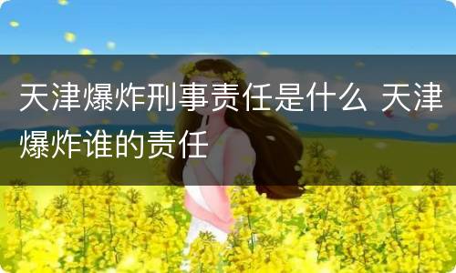 天津爆炸刑事责任是什么 天津爆炸谁的责任