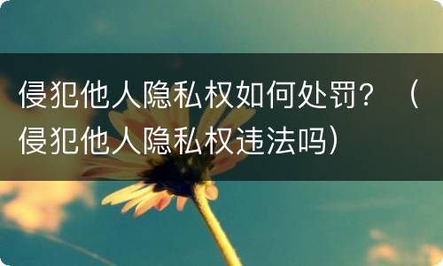 侵犯他人隐私权如何处罚？（侵犯他人隐私权违法吗）