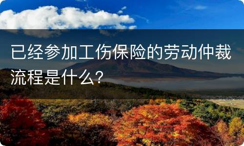 已经参加工伤保险的劳动仲裁流程是什么？
