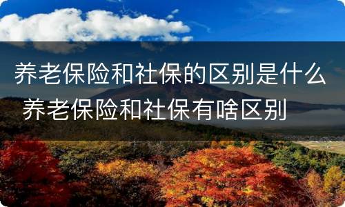 养老保险和社保的区别是什么 养老保险和社保有啥区别