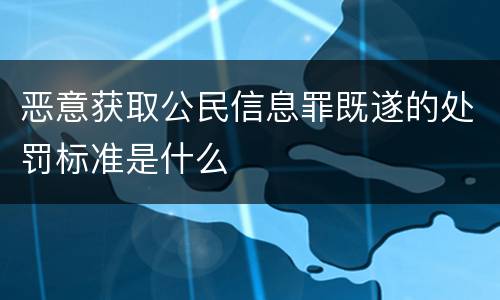 恶意获取公民信息罪既遂的处罚标准是什么