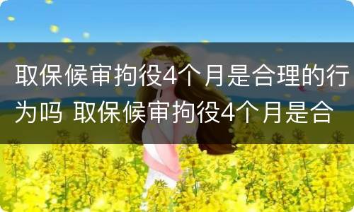 取保候审拘役4个月是合理的行为吗 取保候审拘役4个月是合理的行为吗