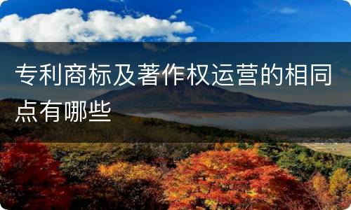 专利商标及著作权运营的相同点有哪些