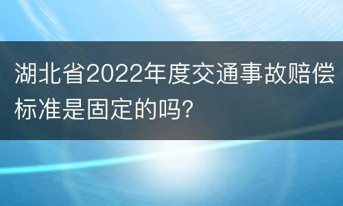 湖北省2022年度交通事故赔偿标准是固定的吗？