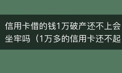 信用卡借的钱1万破产还不上会坐牢吗（1万多的信用卡还不起会被坐牢吗）