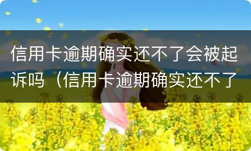 信用卡逾期确实还不了会被起诉吗（信用卡逾期确实还不了会被起诉吗）