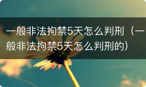一般非法拘禁5天怎么判刑（一般非法拘禁5天怎么判刑的）