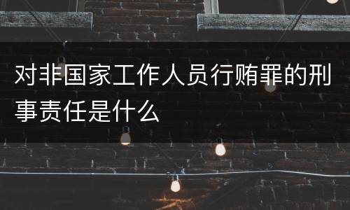 对非国家工作人员行贿罪的刑事责任是什么