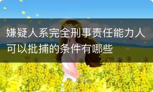 嫌疑人系完全刑事责任能力人可以批捕的条件有哪些