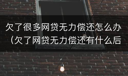 欠了很多网贷无力偿还怎么办（欠了网贷无力偿还有什么后果）