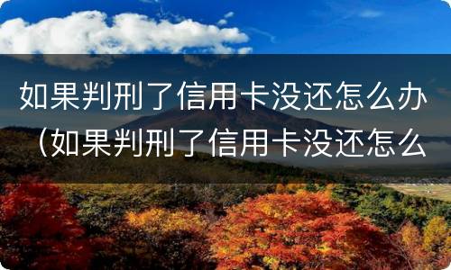 如果判刑了信用卡没还怎么办（如果判刑了信用卡没还怎么办理）