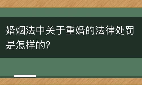 婚烟法中关于重婚的法律处罚是怎样的？
