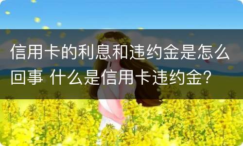 信用卡的利息和违约金是怎么回事 什么是信用卡违约金?