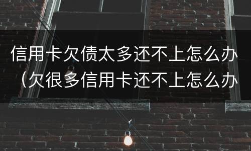 信用卡欠债太多还不上怎么办（欠很多信用卡还不上怎么办）