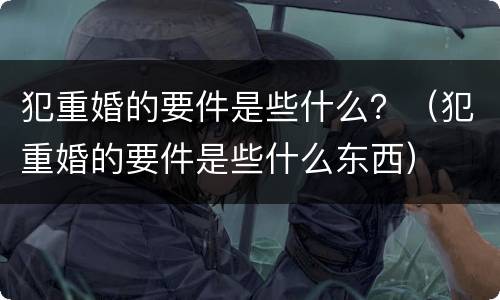 犯重婚的要件是些什么？（犯重婚的要件是些什么东西）