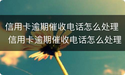 信用卡逾期催收电话怎么处理 信用卡逾期催收电话怎么处理的