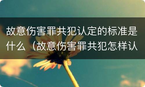 故意伤害罪共犯认定的标准是什么（故意伤害罪共犯怎样认定）