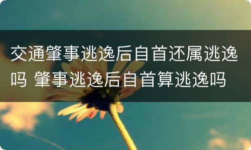 交通肇事逃逸后自首还属逃逸吗 肇事逃逸后自首算逃逸吗