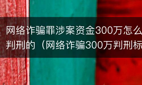 网络诈骗罪涉案资金300万怎么判刑的（网络诈骗300万判刑标准）