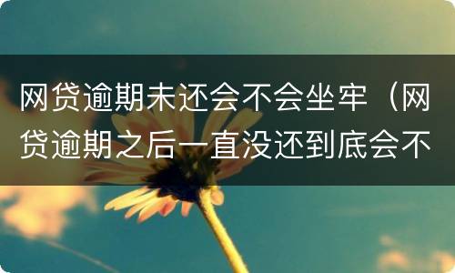 网贷逾期未还会不会坐牢（网贷逾期之后一直没还到底会不会坐牢）