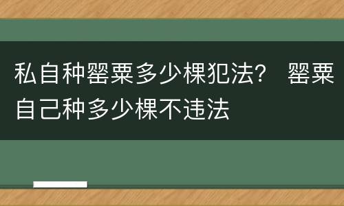 私自种罂粟多少棵犯法？ 罂粟自己种多少棵不违法