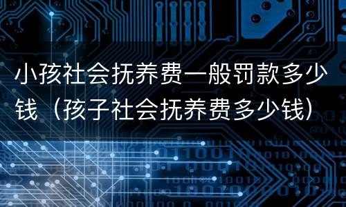 小孩社会抚养费一般罚款多少钱（孩子社会抚养费多少钱）