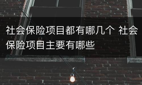 社会保险项目都有哪几个 社会保险项目主要有哪些