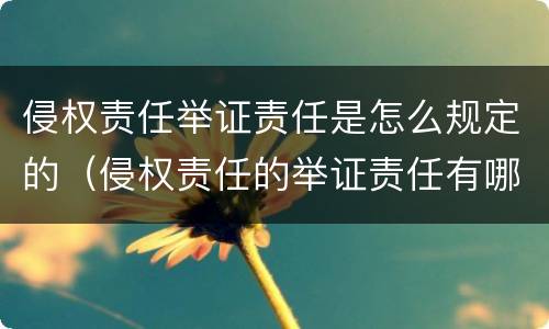 侵权责任举证责任是怎么规定的（侵权责任的举证责任有哪些）