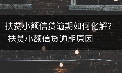 扶贫小额信贷逾期如何化解？ 扶贫小额信贷逾期原因