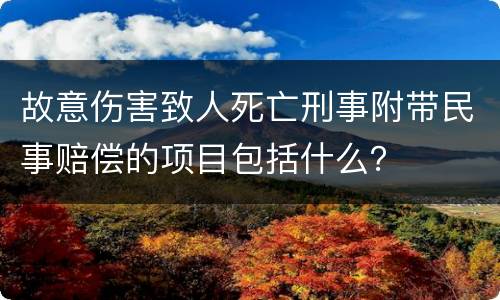故意伤害致人死亡刑事附带民事赔偿的项目包括什么？