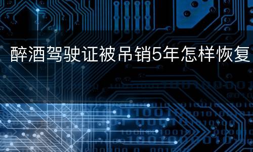 醉酒驾驶证被吊销5年怎样恢复